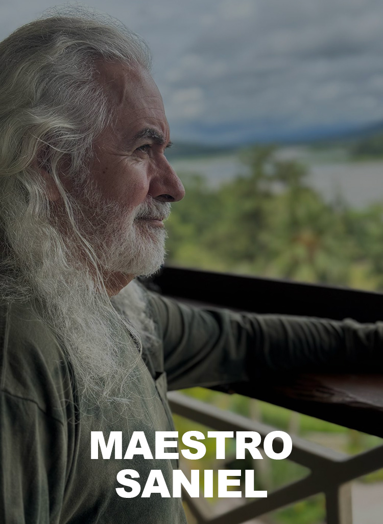 Cliente: Maestro Saniel | Diseño y desarrollo de páginas web, tienda online, landing page, Posicionamiento SEO, actualización y mantenimiento de páginas web | Cainetwork, Creative & Web Studio